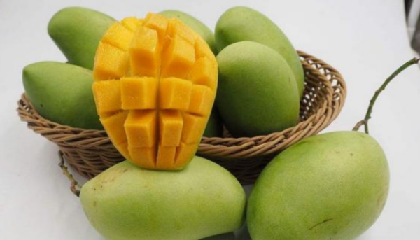 青芒硬的能直接吃,青芒果是硬的可以吃吗图2