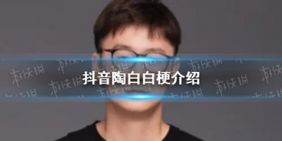 ​抖音陶白白是什么梗 抖音陶白白梗是什么意思