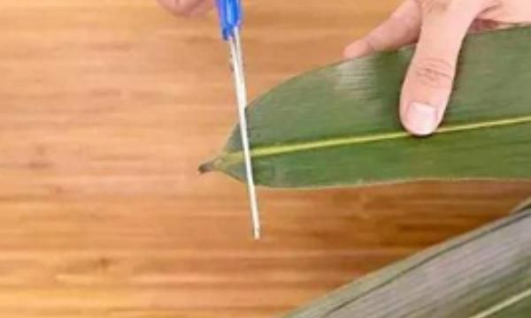 粽叶煮多长时间为好，粽叶和糯米泡多长时间？图3