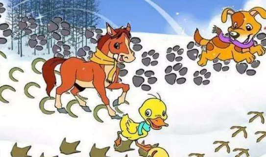 小鸡的脚印像什么形状,小动物在雪地上的脚印像什么图1