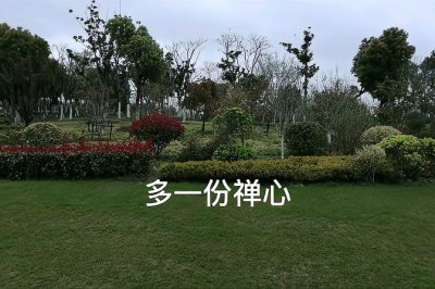​过眼烟云是什么意思啊（过眼烟云的文化内核和意义）