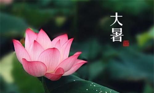 大暑代表的意思和时间