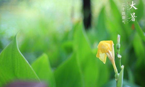 大暑的寓意是什么,大暑的含义图2