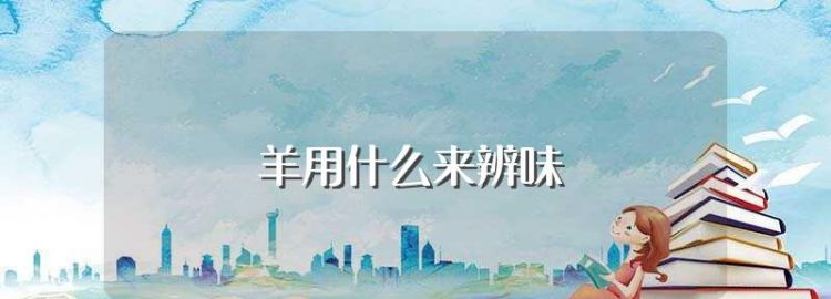 羊肉用什么调料去腥