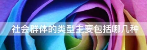 社会群体分为哪几类,消费人群分类有哪几种图2