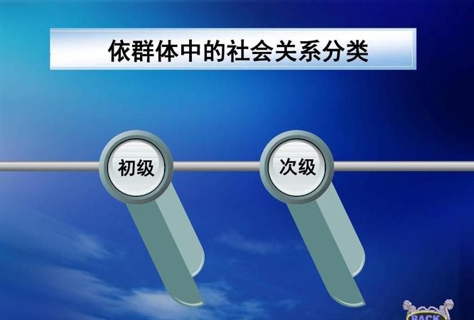 社会群体有哪些主要类型?