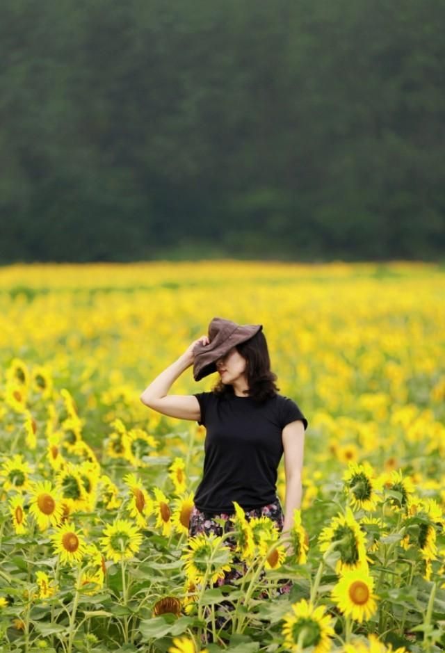 东莞向日葵花海在哪里，坐标东莞：春节过后哪里可以观花赏景野炊休闲游玩呢？图14