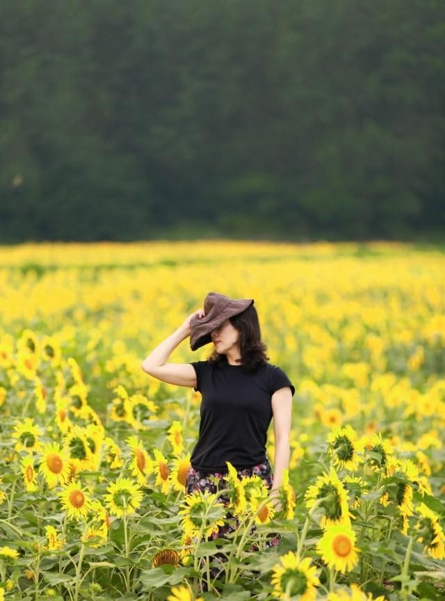 东莞向日葵花海在哪里，坐标东莞：春节过后哪里可以观花赏景野炊休闲游玩呢？图16