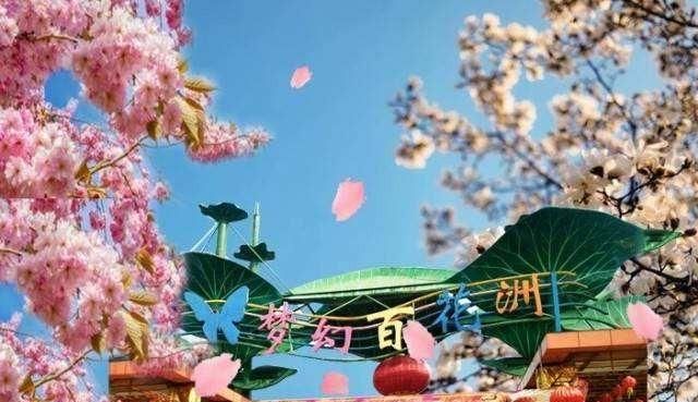 东莞向日葵花海在哪里，坐标东莞：春节过后哪里可以观花赏景野炊休闲游玩呢？图18