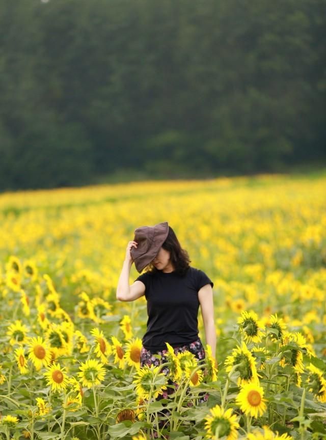 东莞向日葵花海在哪里，坐标东莞：春节过后哪里可以观花赏景野炊休闲游玩呢？图17