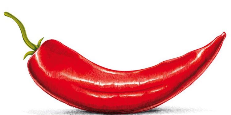 辣椒在明代才传入中国，那么在此之前四川、湖南、贵州一带的人都以食用什么为主