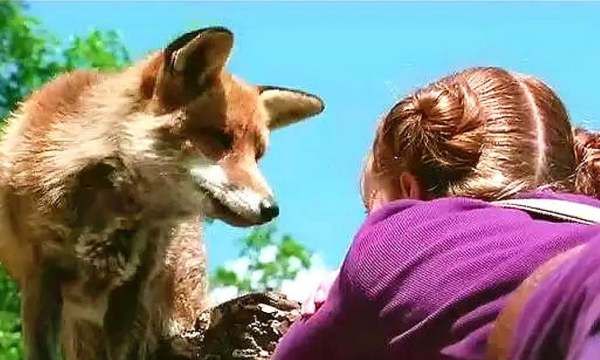 动物会自杀吗,动物也会产生自杀行为为什么图2