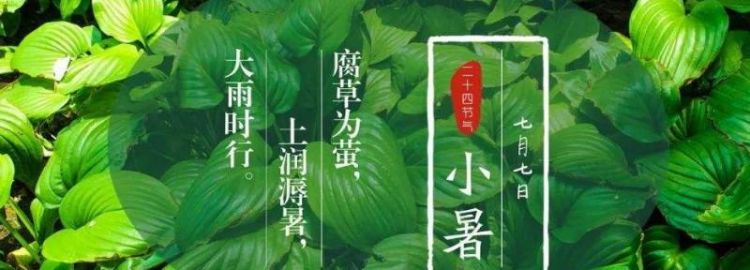 什么叫小暑什么叫大暑图片