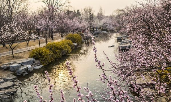 伏羲洞的由来,酉阳桃花源的太古洞就是伏羲洞吗图2