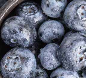 蓝莓酸怎么办,蓝莓太酸了怎么办图1