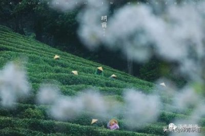​古诗中的春夏秋冬的诗句(古诗中的春夏秋冬手抄报)