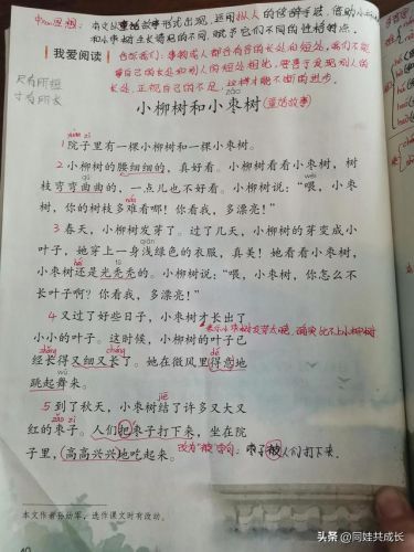 小动物的影子ppt(会变化的影子ppt)-第2张图片-