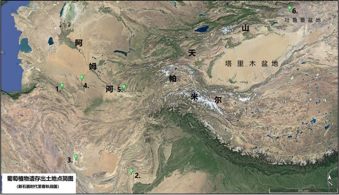 葡萄是什么时候传入中国的(葡萄是东汉还是西汉引进的)