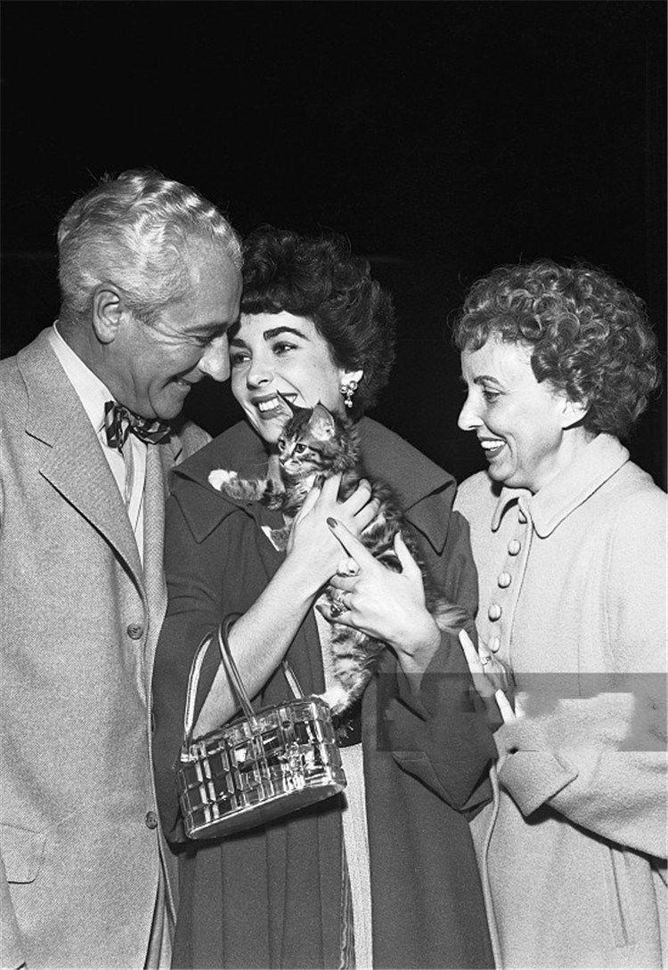 伊丽莎白泰勒的一生简介(伊丽莎白泰勒结了多少次婚)