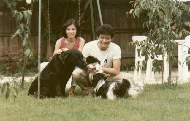 翁美玲为何结束自己的生命(翁美玲为什么要死)