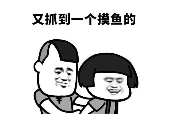 摸鱼是什么意思?出自成语浑水摸鱼(在工作中偷懒的人)