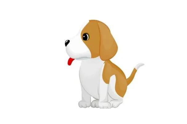 属狗的今年多大2022:最小四岁(2022年顺风顺水)