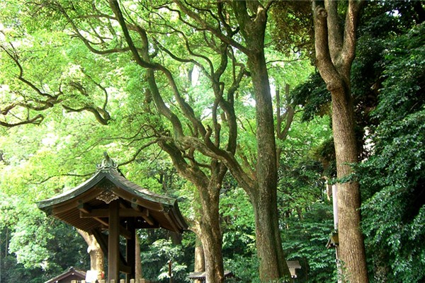 日本是发达国家吗:亚洲四个发达国家中就有日本