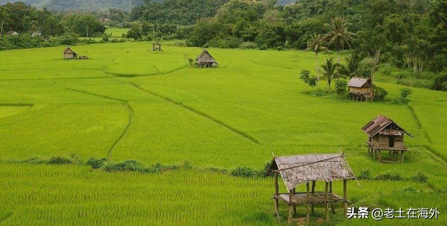 老挝属于哪个国家(老挝是哪个国家)