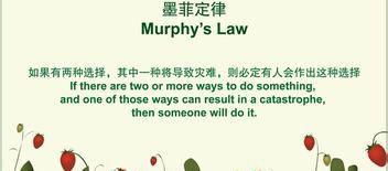 墨菲定律第一眼就喜欢的人（墨菲定律 第一眼喜欢的人）