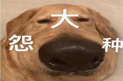 ​大冤种什么意思，大冤种是骂人的吗(指冤大头)