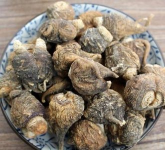 ​玛咖片的功效与作用及禁忌  女人喝玛咖片的功效与作用