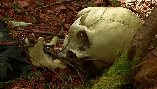 日本寻短见丛林：青木本丛林（Aokigahara）为什么不封锁