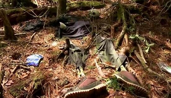 日本寻短见丛林：青木本丛林（Aokigahara）为什么不封锁
