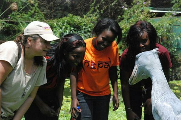 鲸头鹳一睹人便深深弯腰, 得悉背地缘故是为了报仇