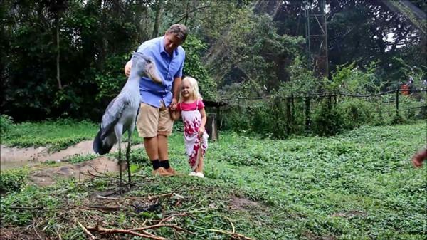 鲸头鹳一睹人便深深弯腰, 得悉背地缘故是为了报仇