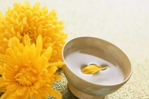 重阳节的来历和意义是什么