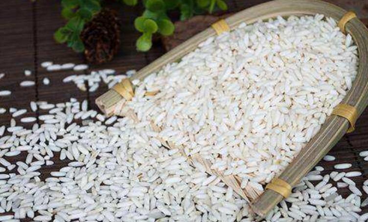 僵尸为什么怕糯米，僵尸怕糯米的说法怎么来的