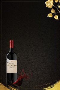 ​中国的高级红酒(高级红酒品牌)