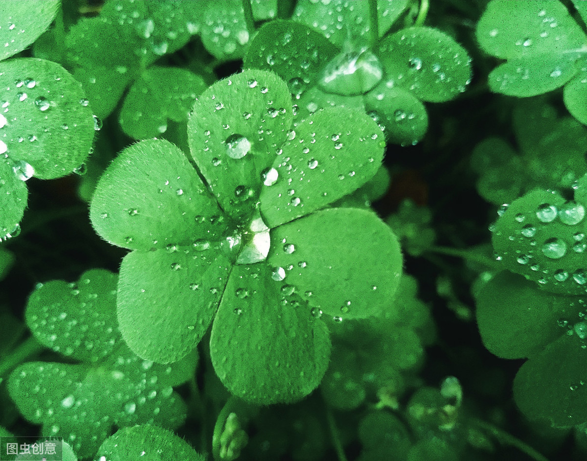 心理测试：选出你最喜欢的颜色，测你性格的优势！超准