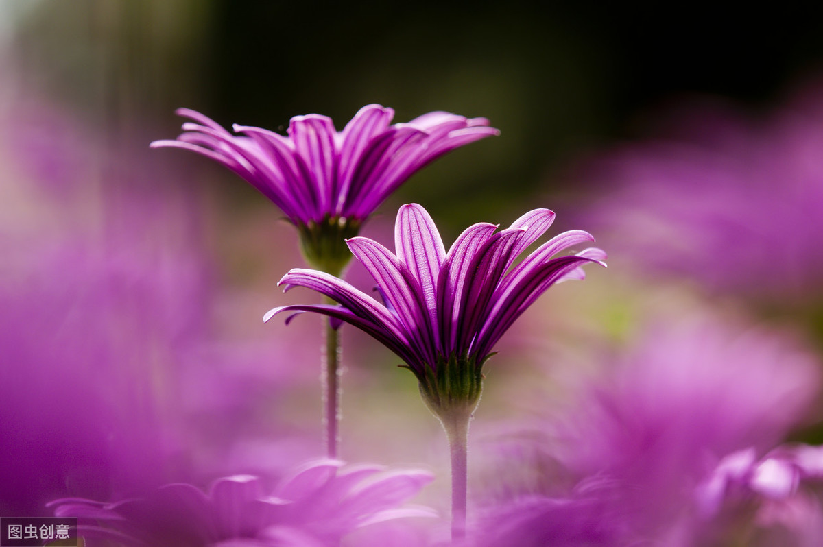 心理测试：选出你最喜欢的颜色，测你性格的优势！超准