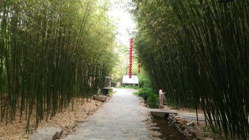 沂南竹泉村门票多少钱(沂南住宿哪家酒店比较好)-第1张图片-