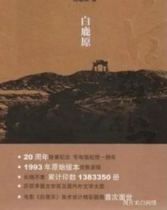 ​白鹿原影评观后感(白鹿原影评人物分析)