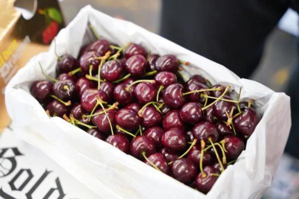 越南进口火龙果有毒吗（越南火龙果开始采用蒸汽消杀啦）(7)