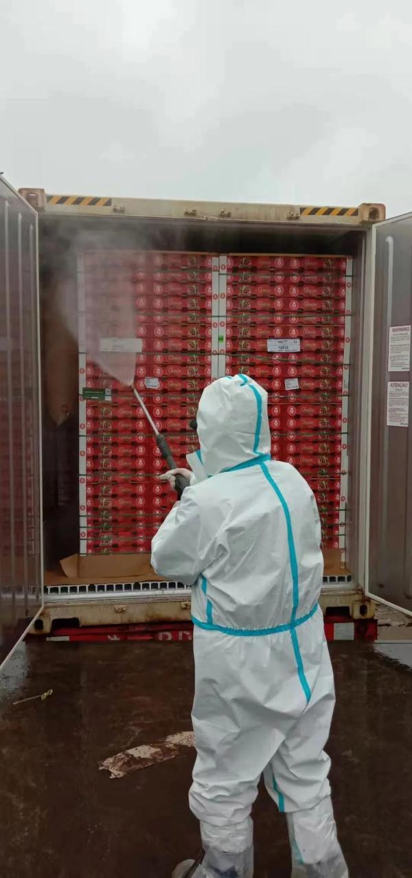 越南进口火龙果有毒吗（越南火龙果开始采用蒸汽消杀啦）(5)