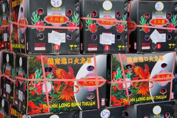 越南进口火龙果有毒吗（越南火龙果开始采用蒸汽消杀啦）(3)