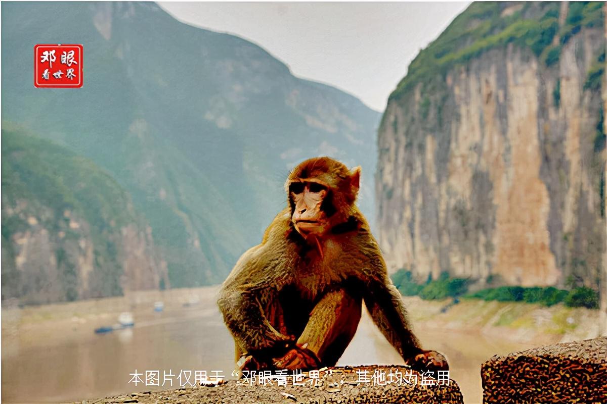 千里江陵一日还中的江陵指的是哪里(荆州还是南京)