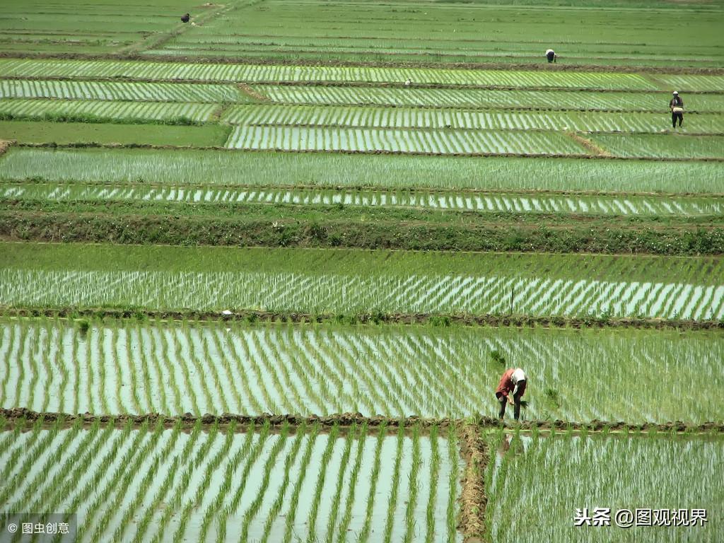 我国面积最大的平原(东北平原面积)