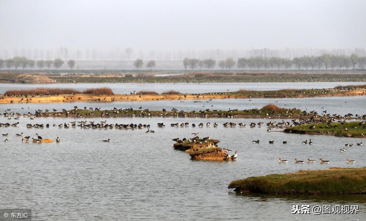 我国面积最大的平原(东北平原面积)