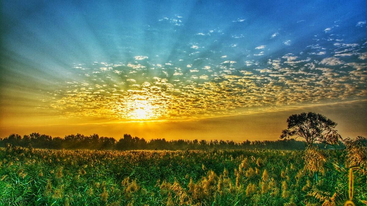天津冷门景点有哪些(天津冷门好玩的地方推荐)