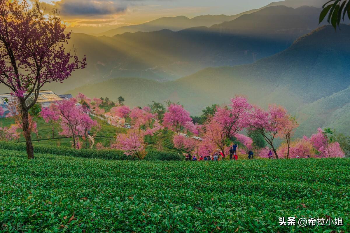 大理周边游玩景点推荐(大理周边值得去的3个地方)